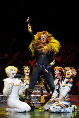 The Rum Tum Tugger, surrounded by his adoring female fans